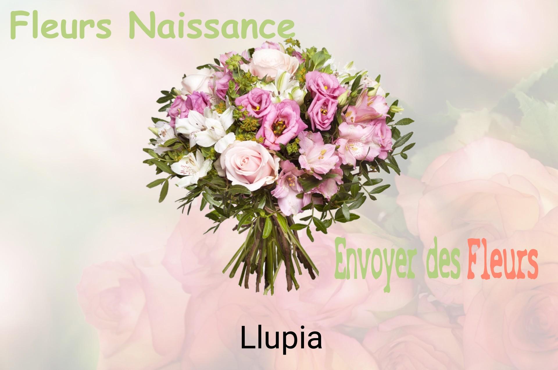 Bouquet de fleurs de naissance livré à Llupia