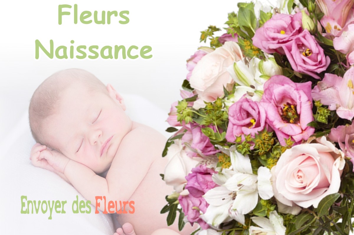 lIVRAISON FLEURS NAISSANCE à LLUPIA