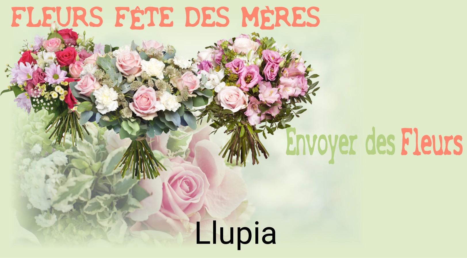 Bouquet de Fête des Mères livré à Llupia